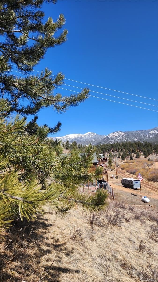 267 Ward St, Bailey, CO 80421
