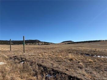 388446 Cohonina Rd, Hartsel, CO 80449