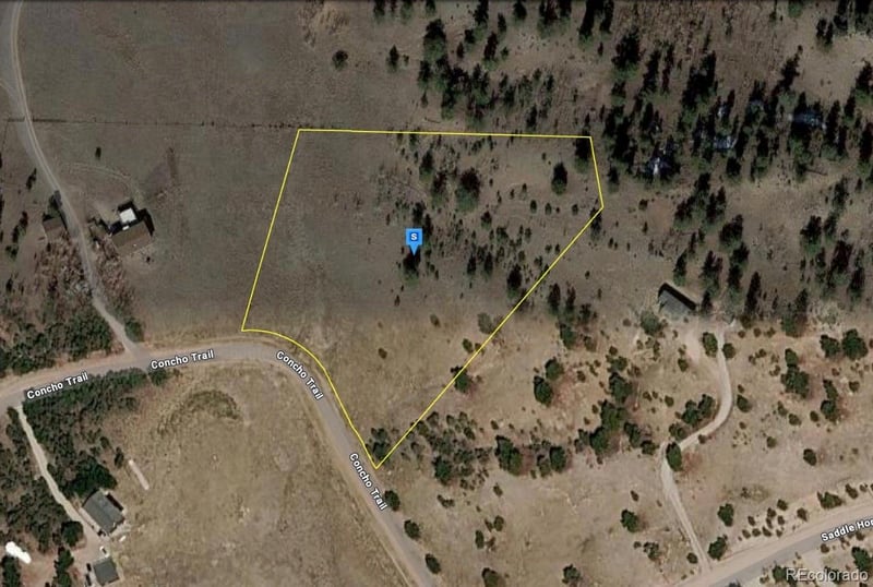 970 Pack Saddle Rd, Hartsel, CO 80449