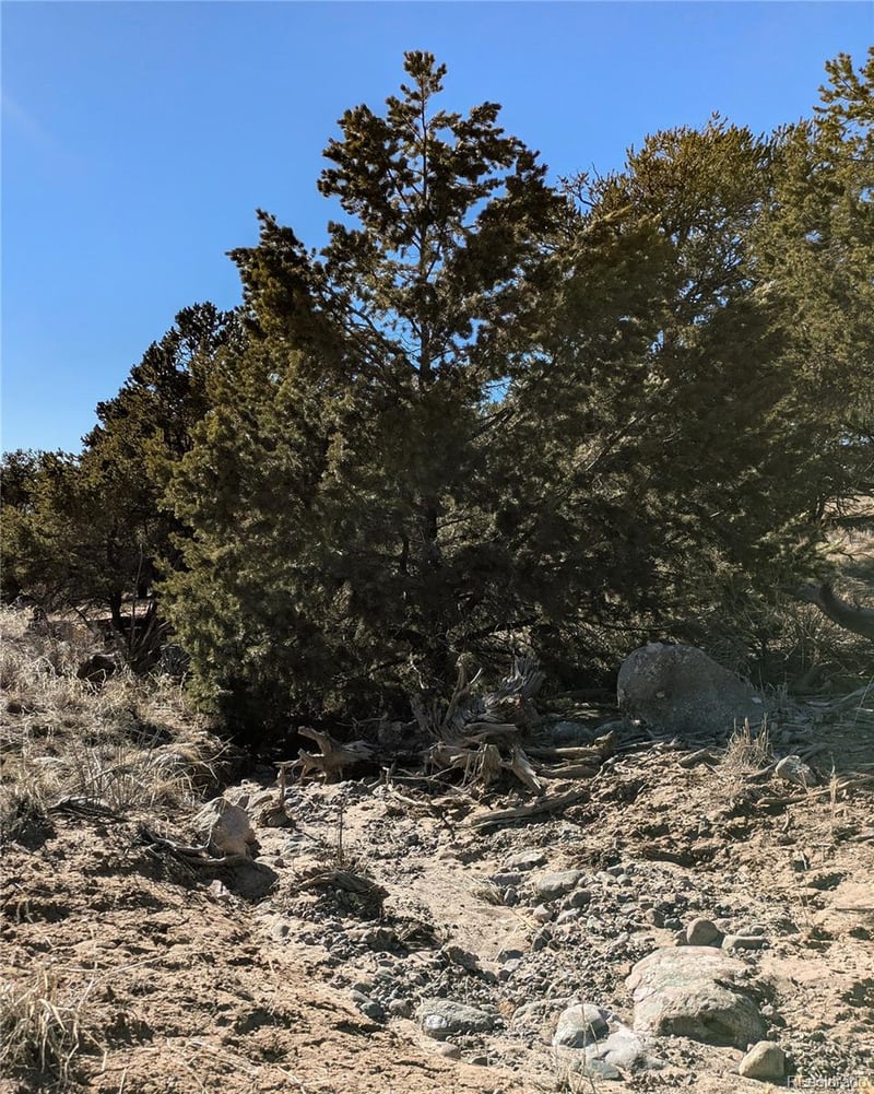 1393 Spanish Ruins, Crestone, CO 81131