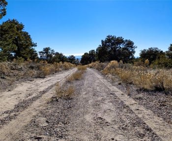 1393 Spanish Ruins, Crestone, CO 81131