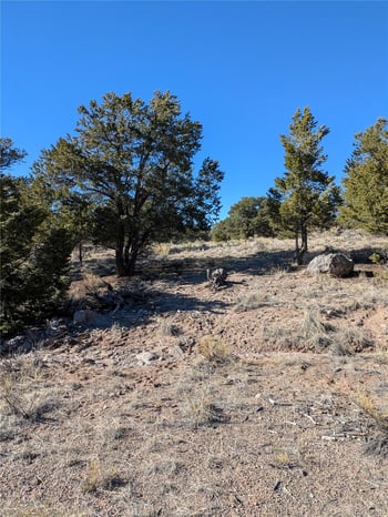 1393 Spanish Ruins, Crestone, CO 81131