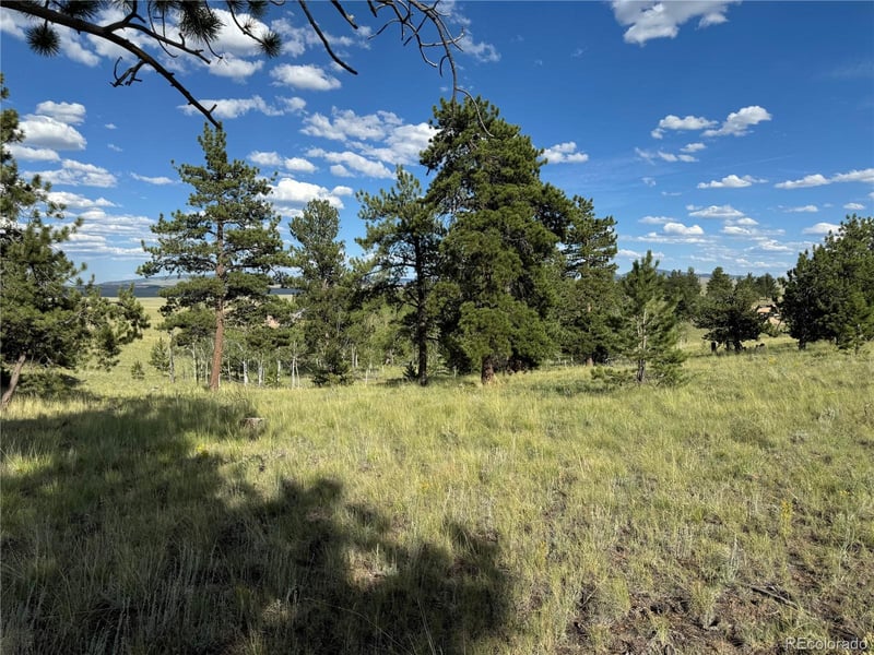 833 Angus Cir Lot 971, Hartsel, CO 80449