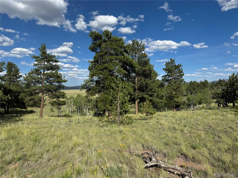 833 Angus Cir Lot 971, Hartsel, CO 80449