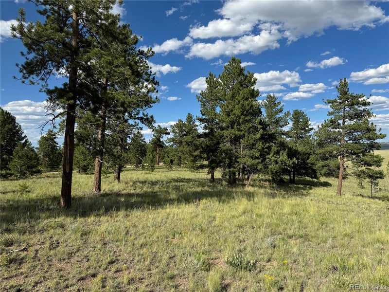 833 Angus Cir Lot 971, Hartsel, CO 80449