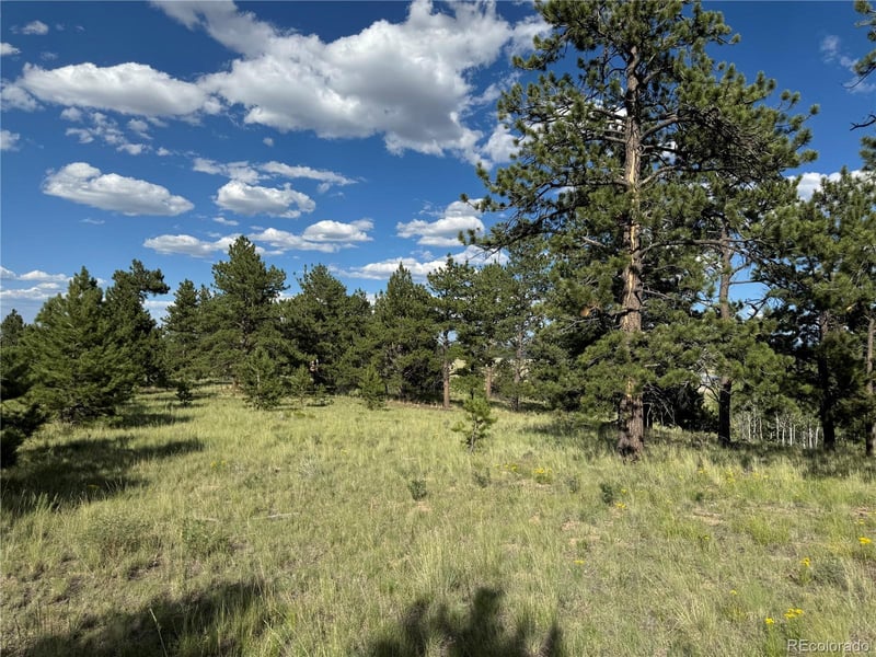 833 Angus Cir Lot 971, Hartsel, CO 80449
