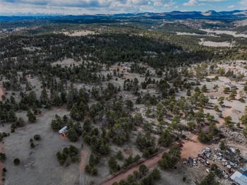 54 Ute Cir, Florissant, CO 80816