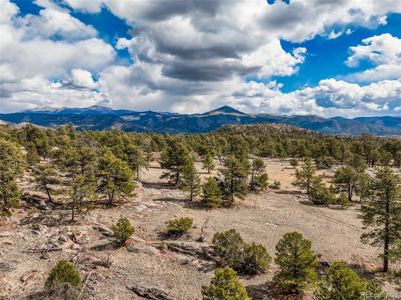 54 Ute Cir, Florissant, CO 80816