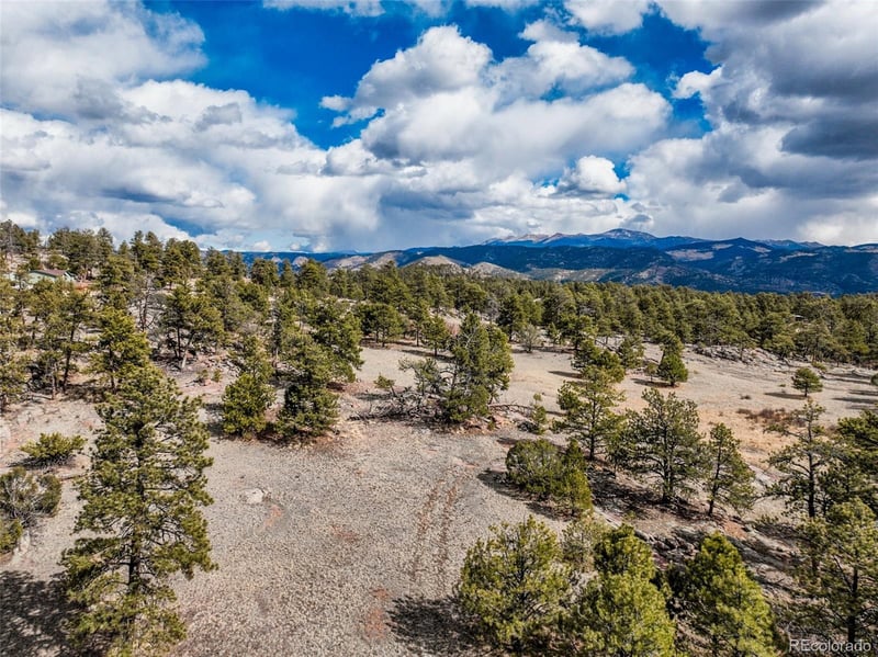 54 Ute Cir, Florissant, CO 80816