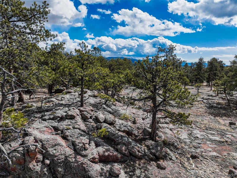 54 Ute Cir, Florissant, CO 80816