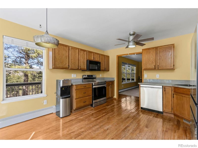 419 Ute Peak Dr, Livermore, CO 80536