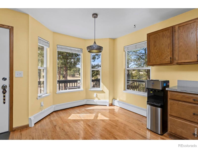 419 Ute Peak Dr, Livermore, CO 80536