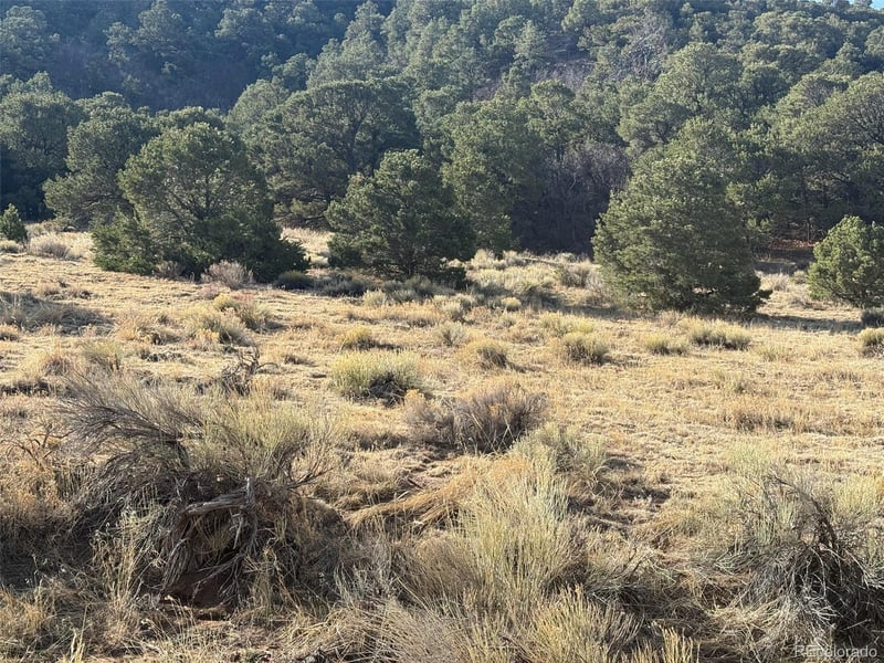 146 l&g, Gardner, CO 81040