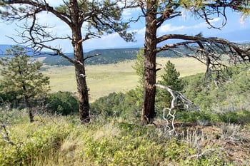 146 l&g, Gardner, CO 81040