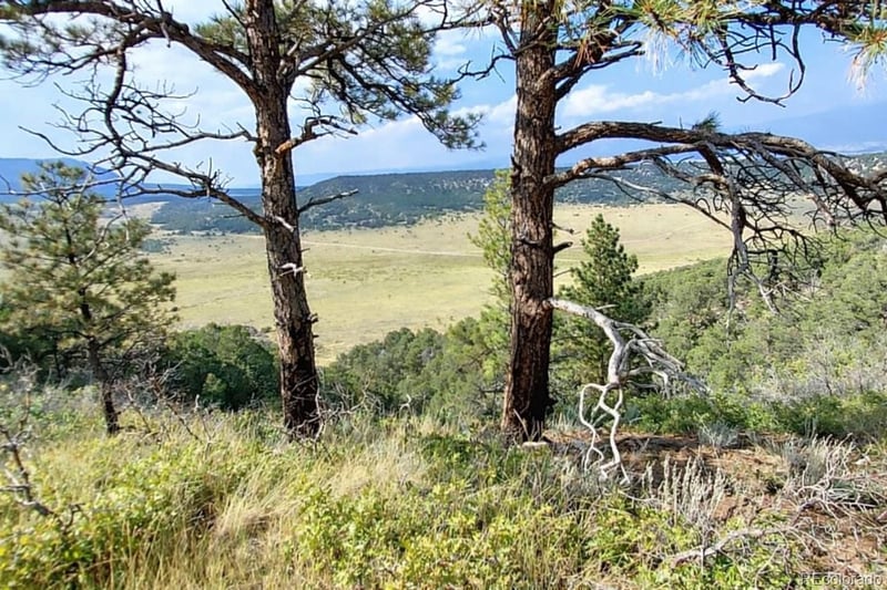 146 l&g, Gardner, CO 81040