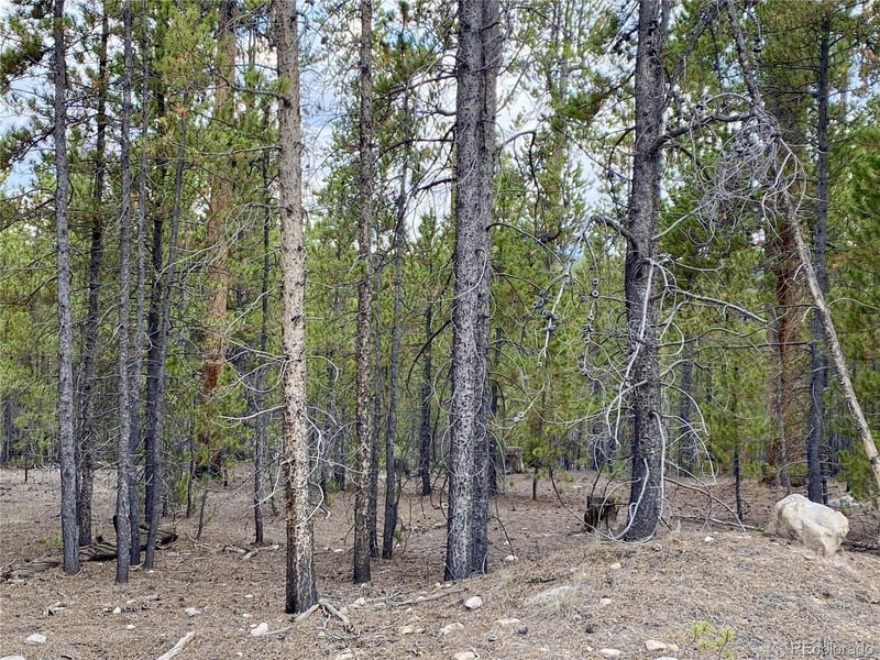 340 Peak View Dr, Leadville, CO 80461