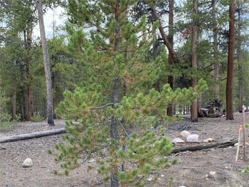 340 Peak View Dr, Leadville, CO 80461