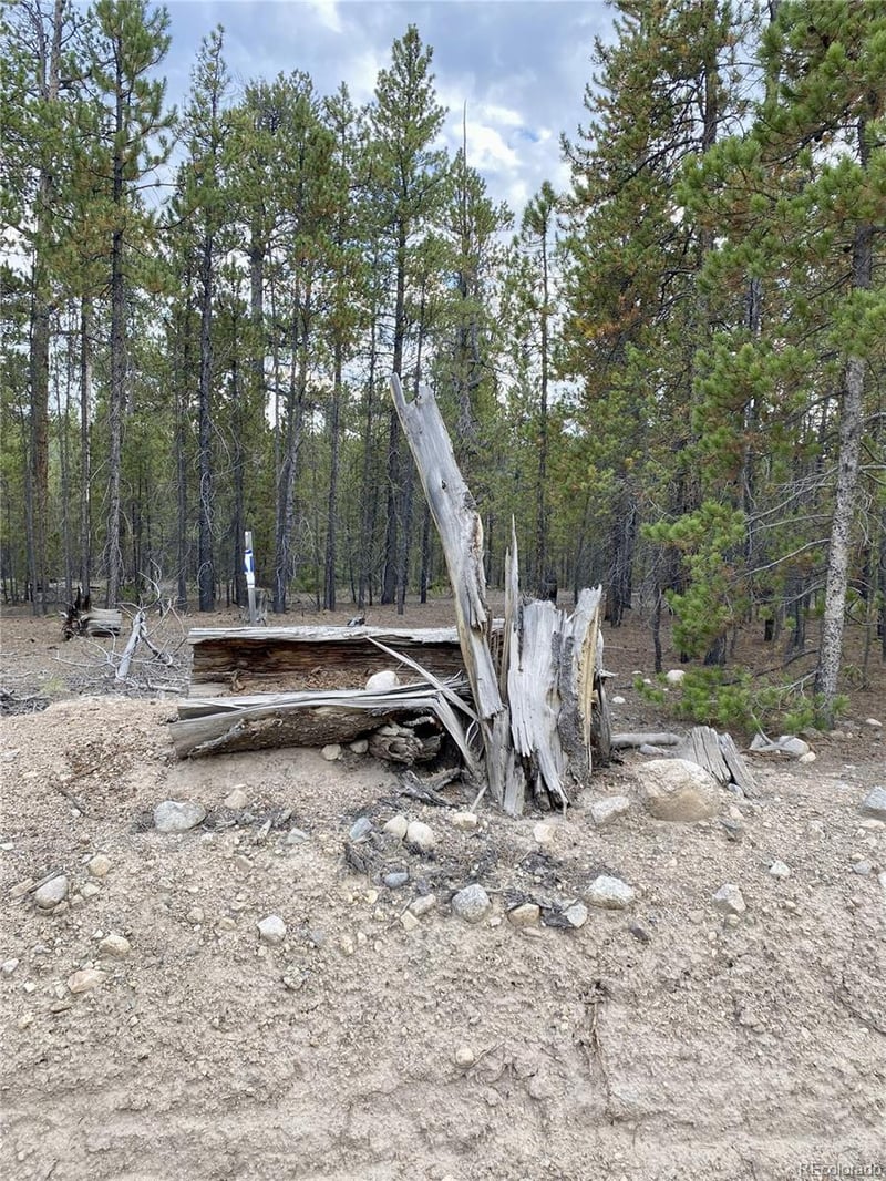 340 Peak View Dr, Twin Lakes, CO 80461