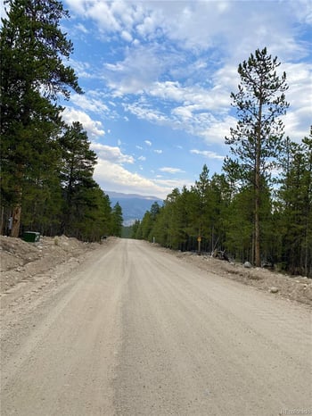 340 Peak View Dr, Twin Lakes, CO 80461