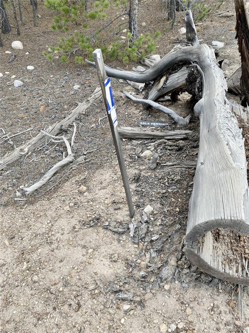 340 Peak View Dr, Twin Lakes, CO 80461