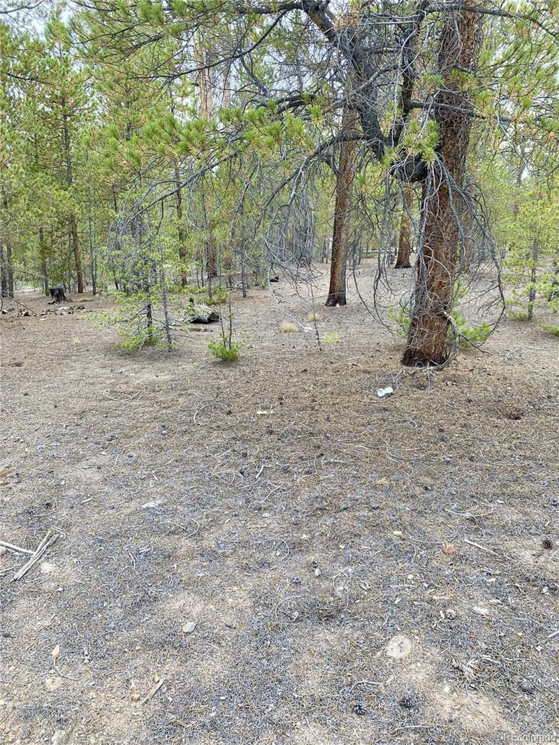 340 Peak View Dr, Twin Lakes, CO 80461