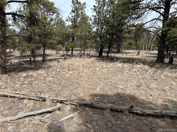 2146 Wagon Wheel Rd, Hartsel, CO 80449