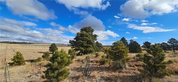 23895 County Road 144, Agate, CO 80101