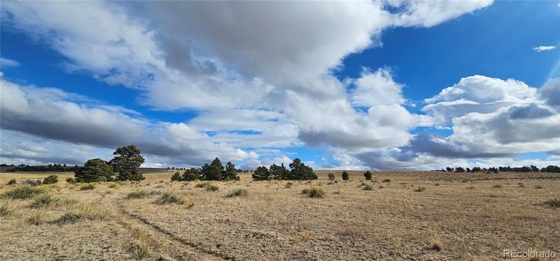 23895 County Road 144 Lot 1, Agate, CO 80101