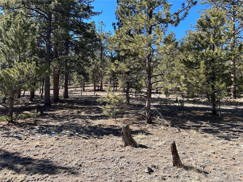 147 Haystack Rd, Hartsel, CO 80449