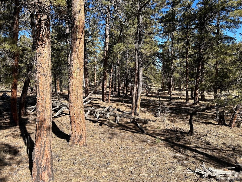 147 Haystack Rd, Hartsel, CO 80449