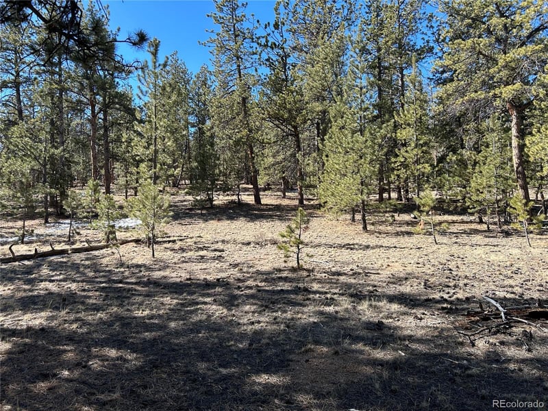 147 Haystack Rd, Hartsel, CO 80449