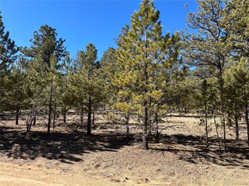 147 Haystack Rd, Hartsel, CO 80449