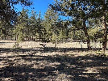 147 Haystack Rd, Hartsel, CO 80449