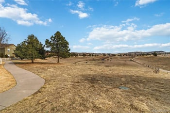 3797 Windriver Trl, Castle Rock, CO 80109