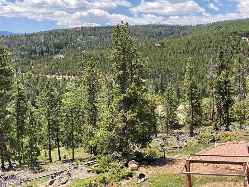 717 Micmac Dr, Red Feather Lakes, CO 80545