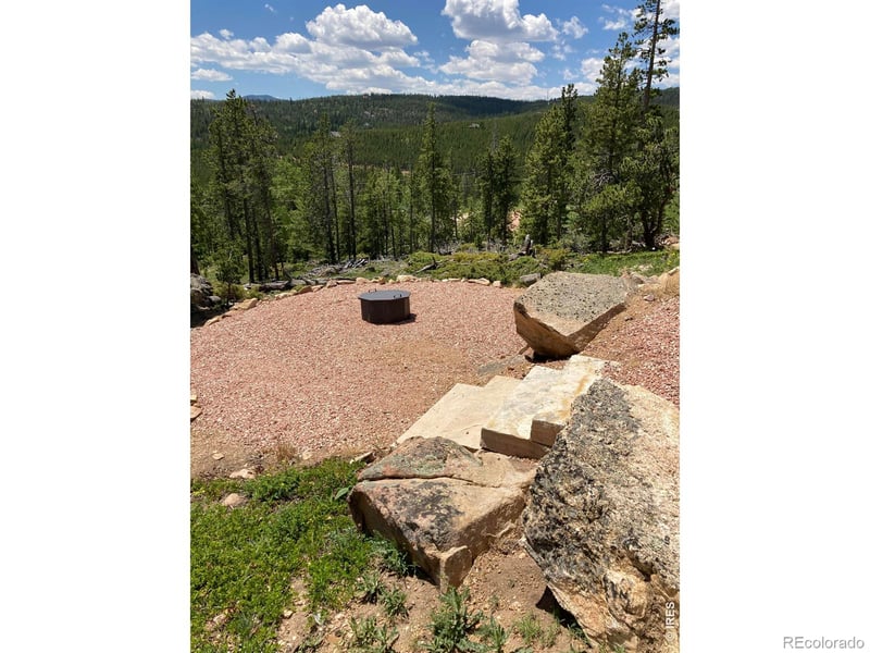 717 Micmac Dr, Red Feather Lakes, CO 80545
