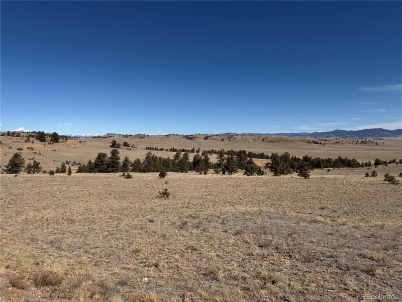 367 Arikara Trl, Hartsel, CO 80449