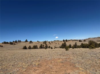 367 Arikara Trl, Hartsel, CO 80449