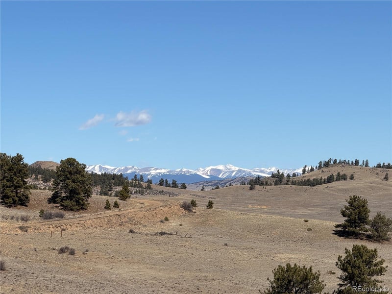 367 Arikara Trl, Hartsel, CO 80449