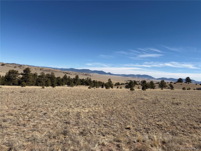 367 Arikara Trl, Hartsel, CO 80449