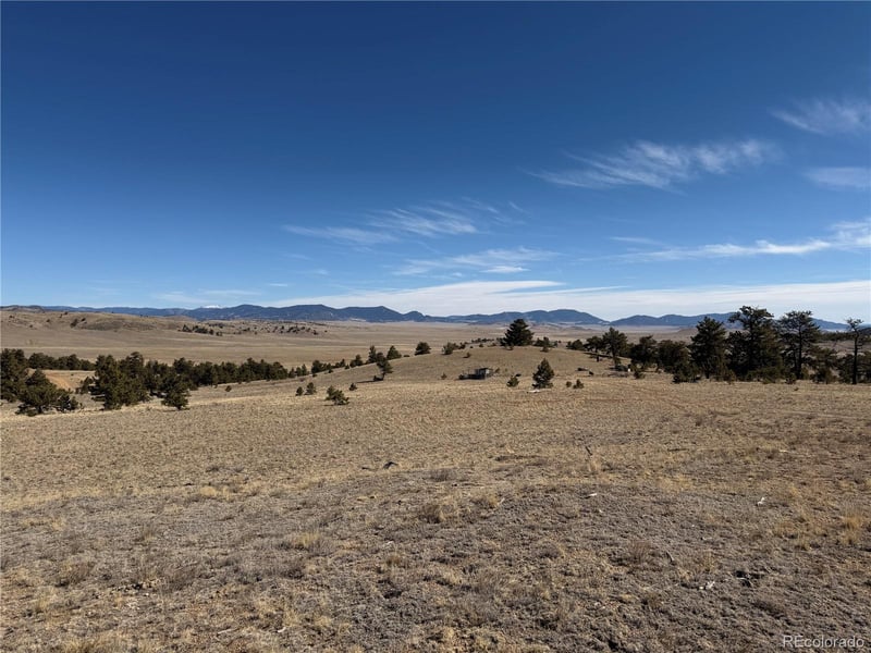 367 Arikara Trl Lot 5089, Hartsel, CO 80449