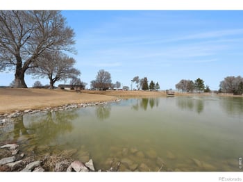 205 Windflower Way, Severance, CO 80550