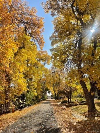 1065 Zang St, Golden, CO 80401