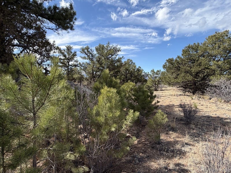 000 Redtail Trl, Texas Creek, CO 81223