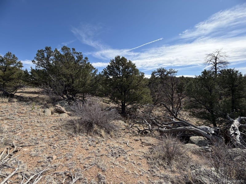 000 Redtail Trl, Texas Creek, CO 81223