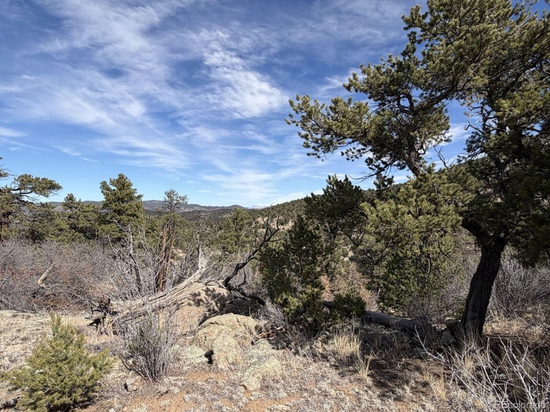000 Redtail Trl, Texas Creek, CO 81223