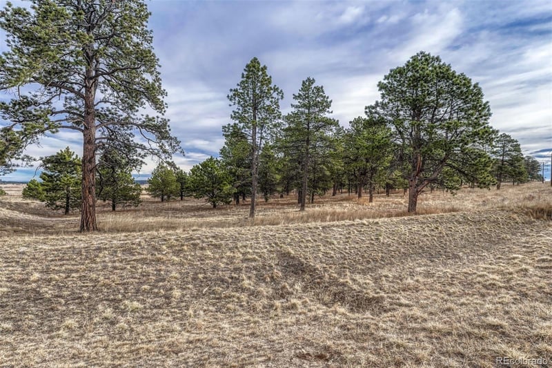 16511 Early Light Dr, Colorado Springs, CO 80908
