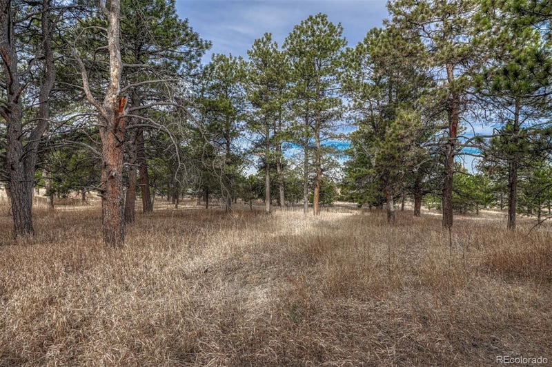 16511 Early Light Dr, Colorado Springs, CO 80908