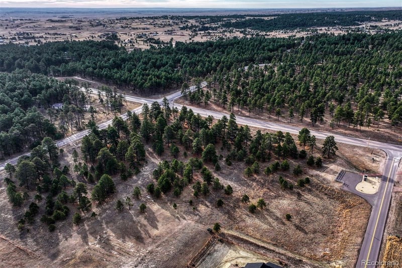 16511 Early Light Dr, Colorado Springs, CO 80908