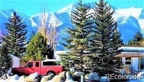 10795 County Road 197 A Unit 105 #105, Nathrop, CO 81236